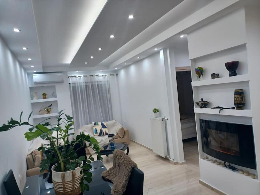 Cozy Renovated Apartment أثينا المظهر الخارجي الصورة